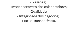 - Pessoas; - Reconhecimento dos colaboradores; - Qualidade; - Integridade dos negócios; - Ética e transparência.